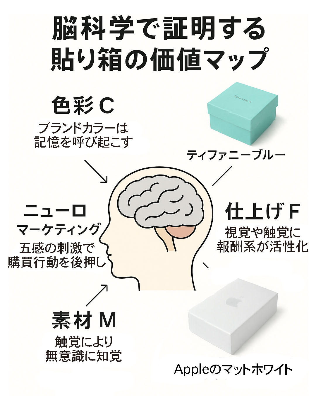 貼り箱/パッケージ × CMFデザイン × ニューロマーケティング